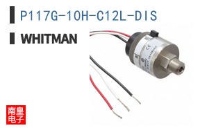 P117G-10H-C12L-DIS ͼƬ